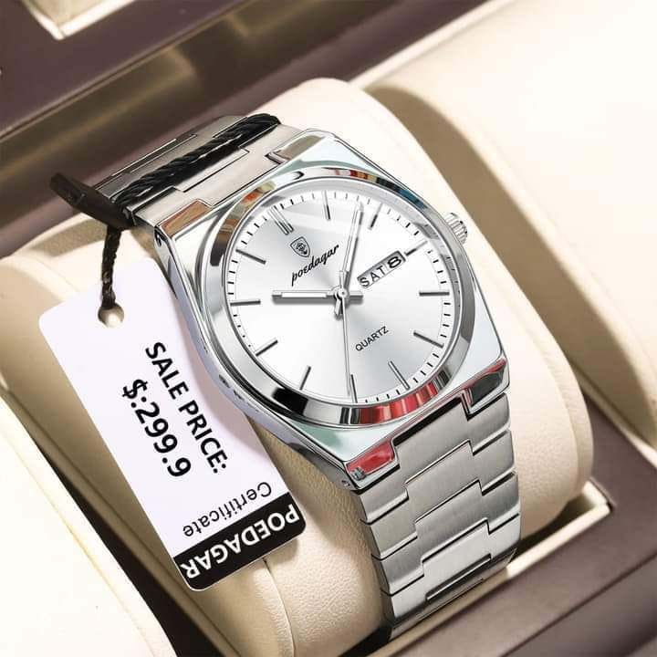 POEDAGAR 930 Luxury Luminous Men's Quartz Watch with Stainless Steel Band & Butterfly Lock